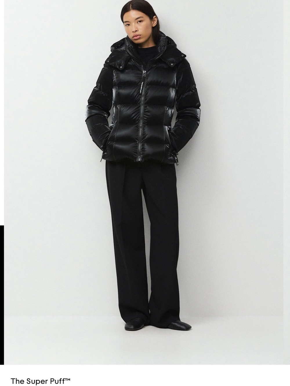 Aritzia Super puff liquid shine